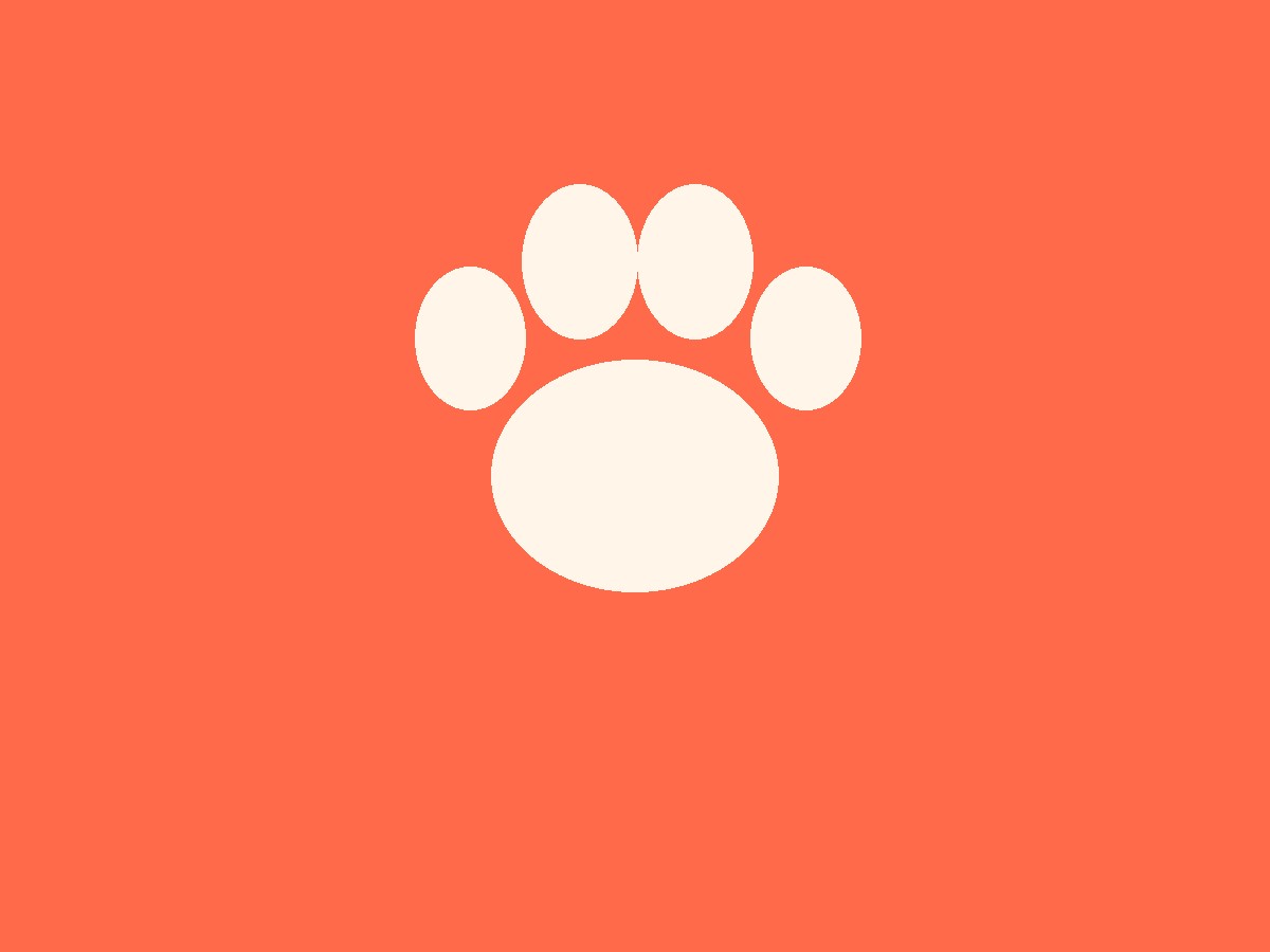 How Much Exercise Does Your Dog Really Need?