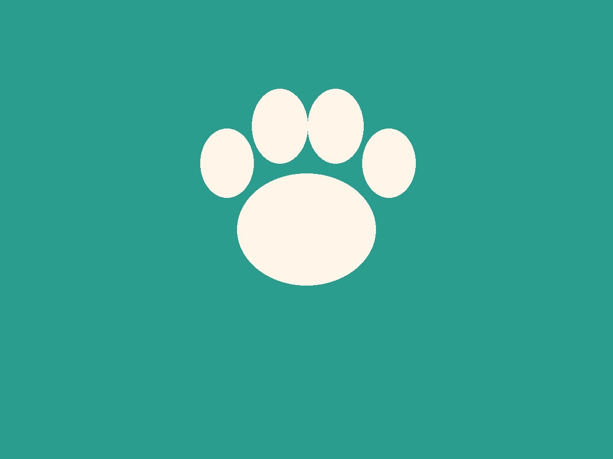 Puppy-Proofing Your Home: The Room-by-Room Guide